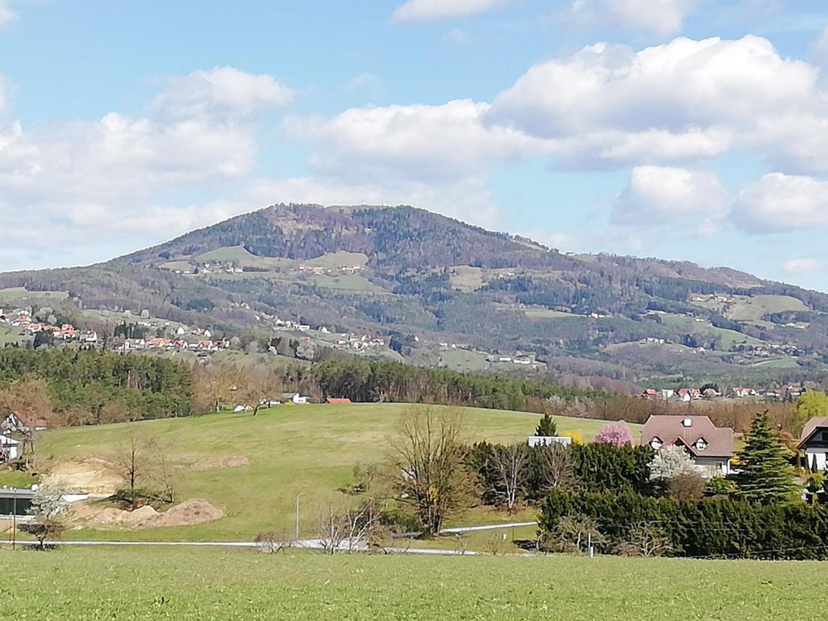 Ferienwohnung Wachmann Rohrbach am Kulm Kamer foto